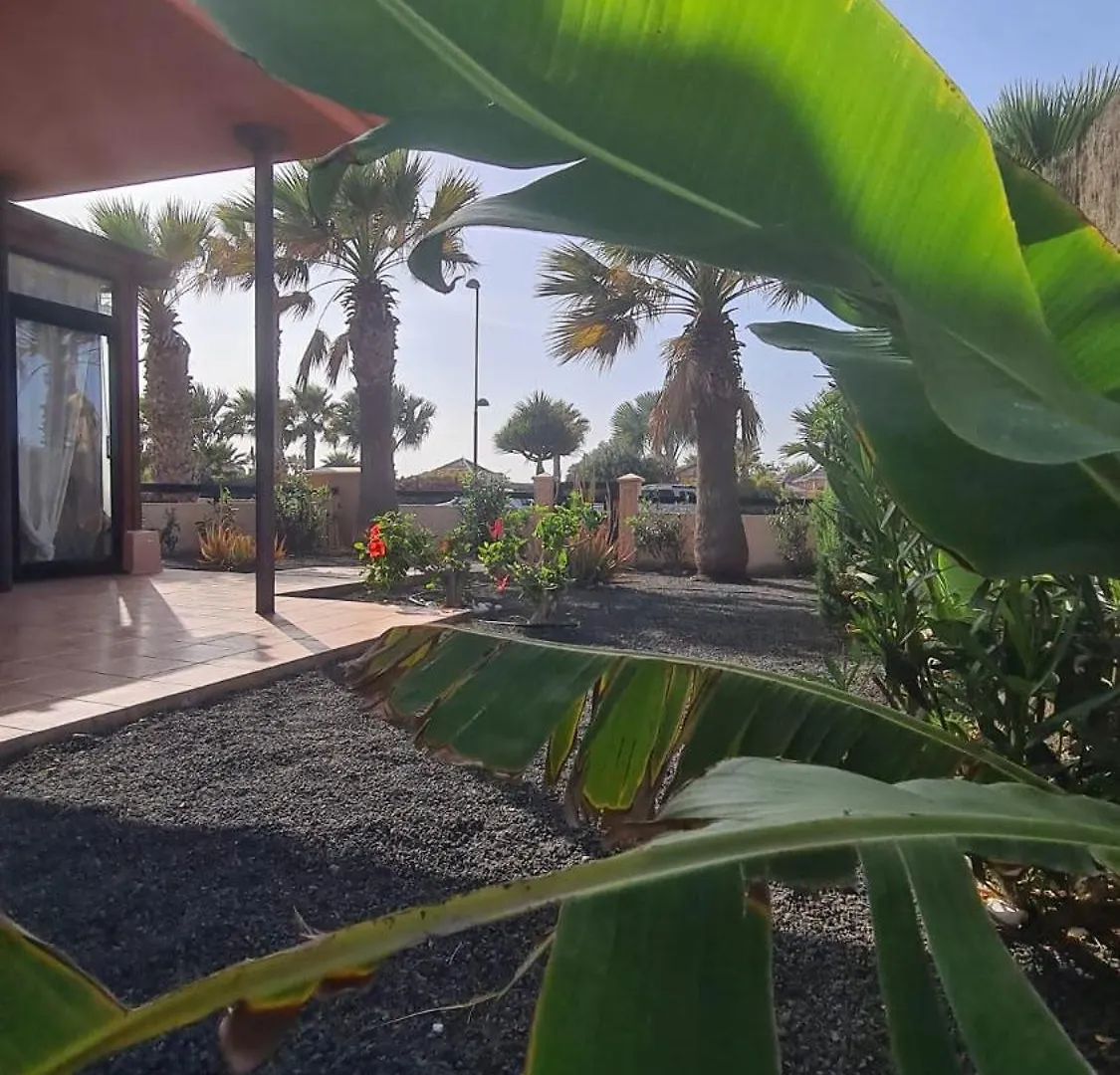 Green Ocean House - Origo Mare Lajares 0*,  Spain
