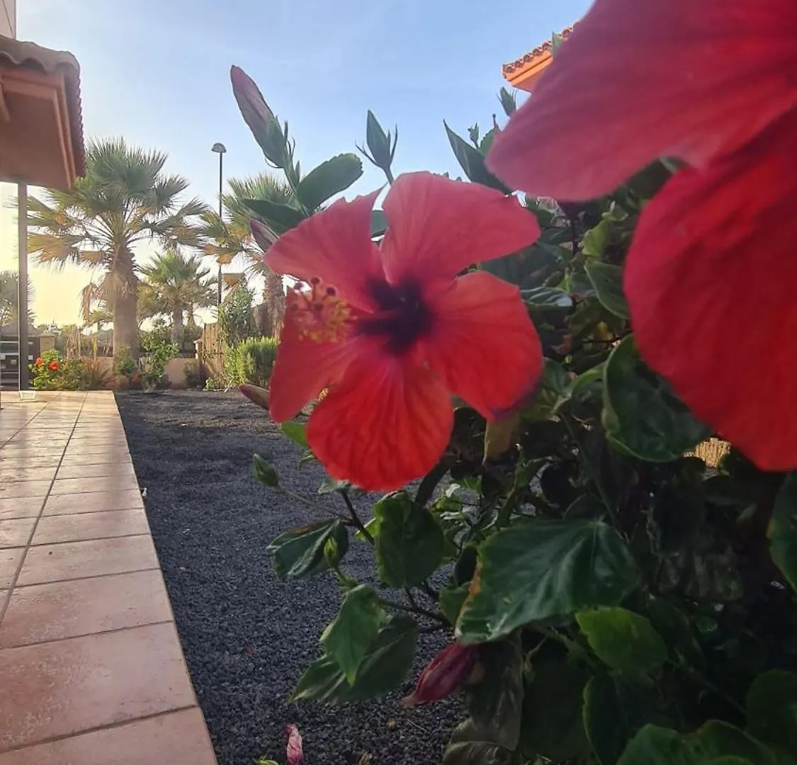 Villa Green Ocean House - Origo Mare Lajares